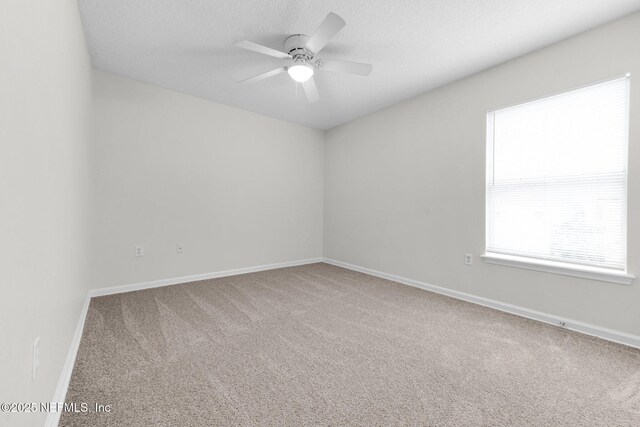 8446 Mcgirts Village Ln, Jacksonville, FL 32210 - photo 23