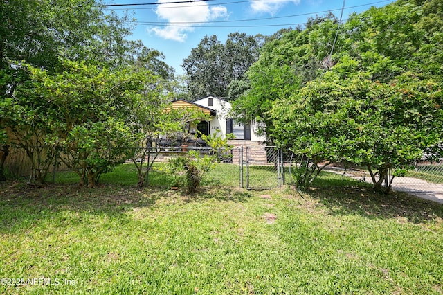 1176 Dancy St, Jacksonville, FL 32205 - view of yard with a gate