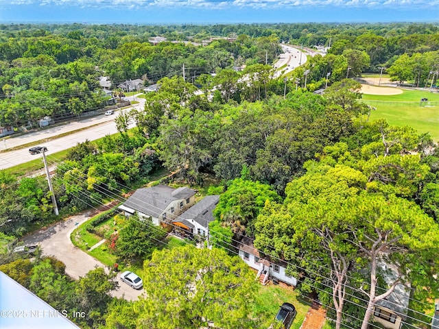 1176 Dancy St, Jacksonville, FL 32205 - aerial view of a forest
