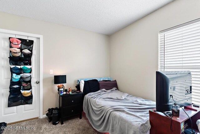 12027 Harbour Cove Dr S, Jacksonville, FL 32225 - photo 47