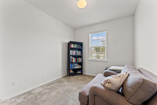 3430 Traceland Oak Ln, Green Cove Springs, FL 32043 - sitting room featuring light colored carpet and baseboards