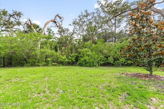 125 Leeward Island Dr, Saint Augustine, FL 32080 - photo 31