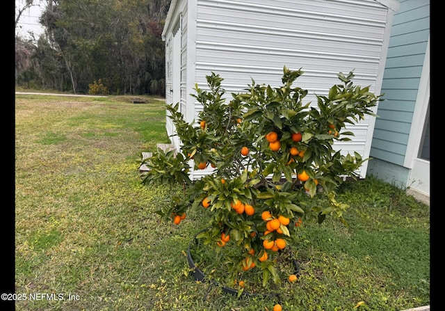 125 Cypress Dr, East Palatka, FL 32131 - photo 52