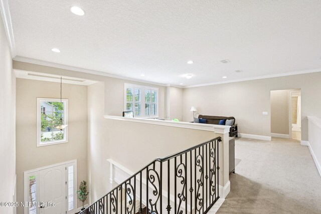 156 Wellwood Ave, Saint Johns, FL 32259 - photo 30