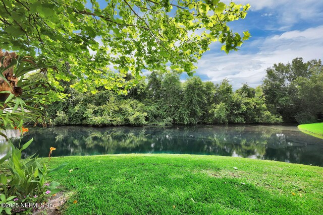 721 Sandy Oaks Ct, Ponte Vedra Beach, FL 32082 - water view