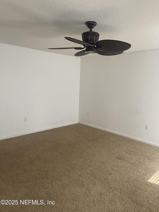 12029 Alexandra Dr, Jacksonville, FL 32218 - photo 11