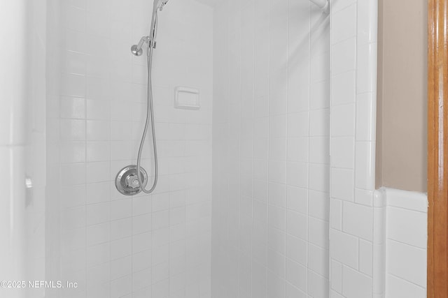 3344 Queen Ann Ln, Jacksonville, FL 32257 - bathroom view of a tile shower