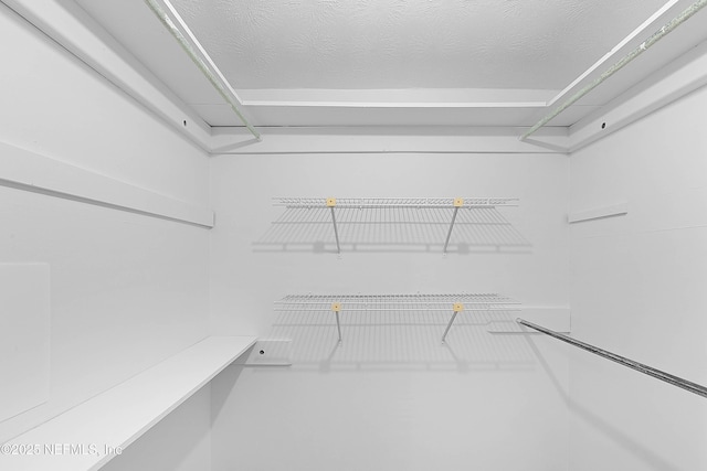 3344 Queen Ann Ln, Jacksonville, FL 32257 - view of spacious closet