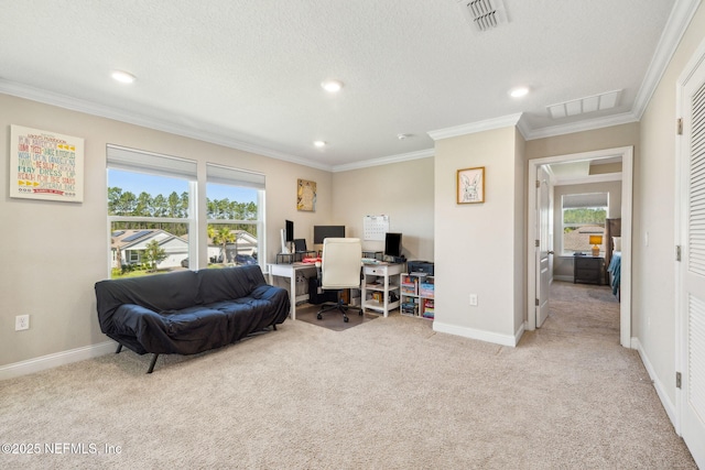 70 Creekmore Dr, Saint Augustine, FL 32092 - home office with carpet, crown molding, recessed lighting, and a textured ceiling