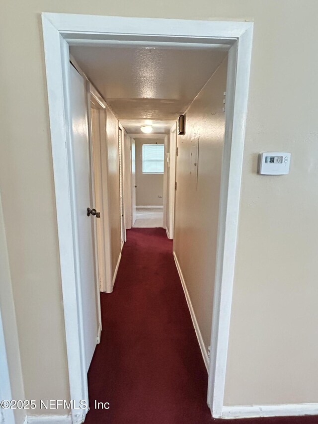 2002 Bo Peep Dr W, Jacksonville, FL 32210 - photo 16