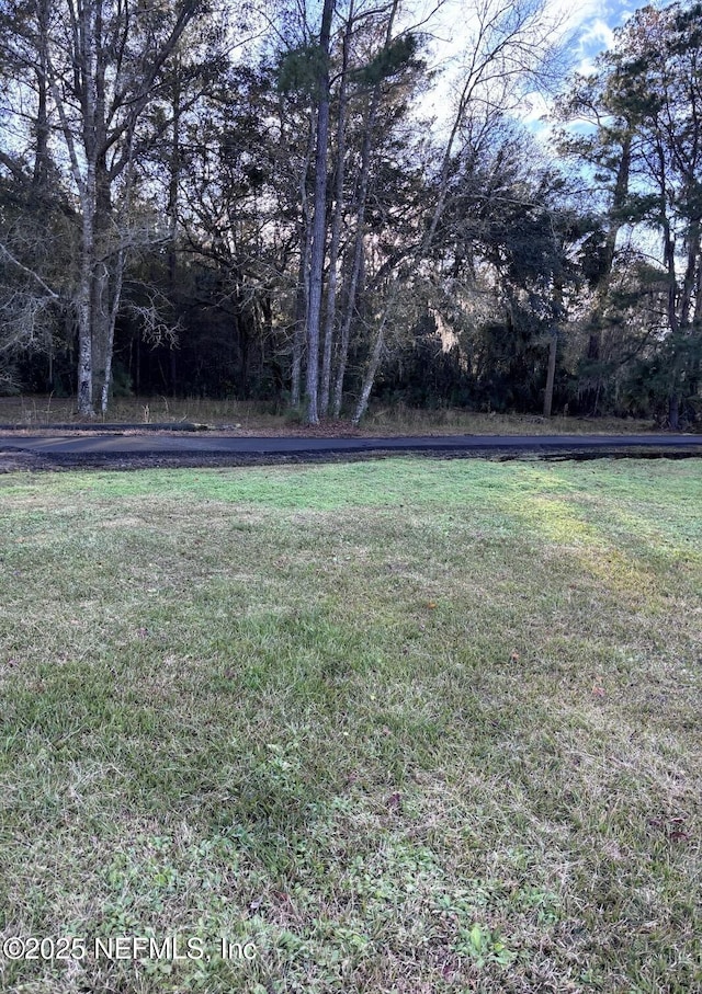 375827 Kings Ferry Rd, Hilliard, FL 32046 - photo 8