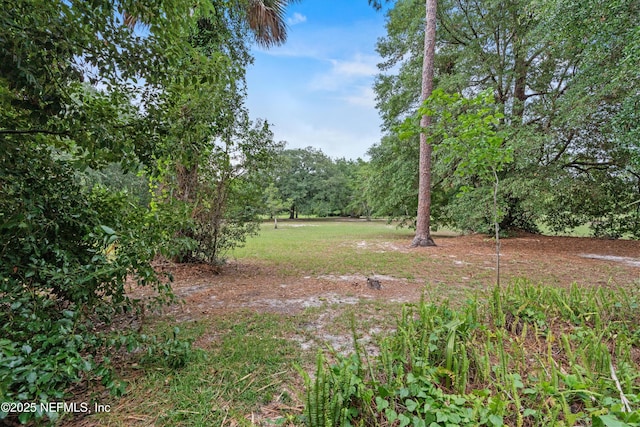 2429 Pineridge Rd, Jacksonville, FL 32207 - photo 26