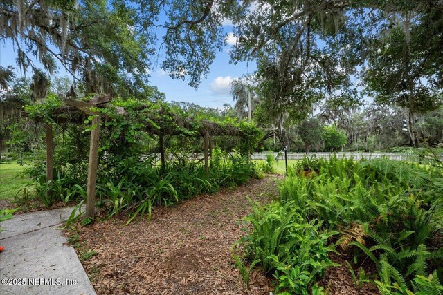 150 Central Ave, San Mateo, FL 32187 - photo 12