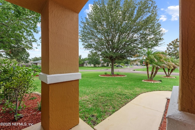 1101 Chokee Pl, Saint Augustine, FL 32092 - view of green lawn