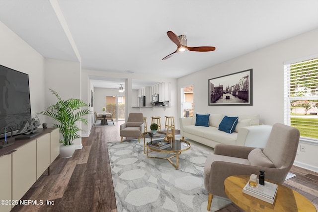 1101 Chokee Pl, Saint Augustine, FL 32092 - living area with ceiling fan, wood finished floors, and plenty of natural light