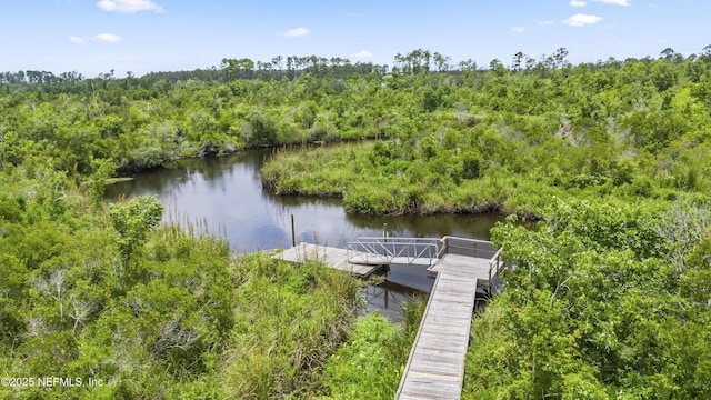 81014 Lockhaven Dr, Yulee, FL 32097 - dock area with a water view and a forest view