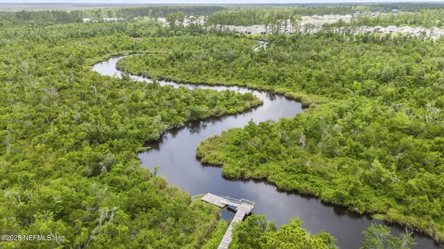 81014 Lockhaven Dr, Yulee, FL 32097 - bird's eye view of a nearby body of water and a forest