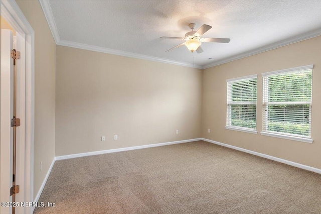 165 Crown Colony Rd, Saint Augustine, FL 32092 - empty room with ceiling fan, carpet floors, ornamental molding, baseboards, and a textured ceiling