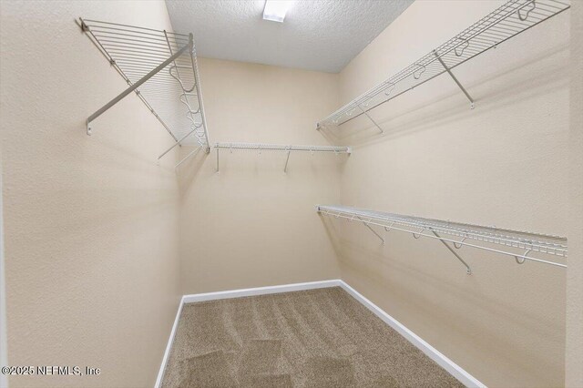 165 Crown Colony Rd, Saint Augustine, FL 32092 - spacious closet featuring carpet