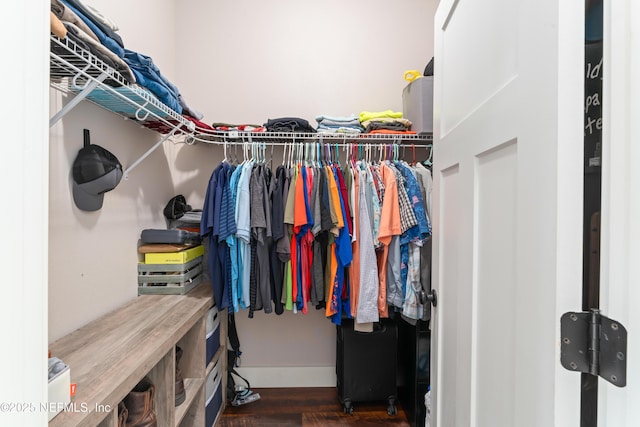 6228 Blue Marlin Dr, Keystone Heights, FL 32656 - spacious closet featuring wood finished floors