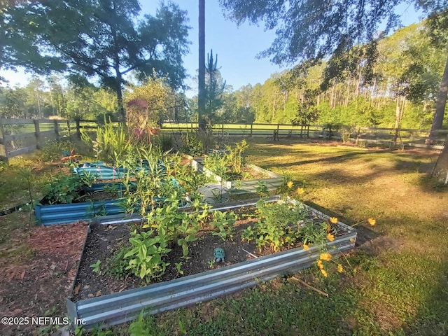 3923 Eden Estate Trl, Middleburg, FL 32068 - view of yard with a vegetable garden
