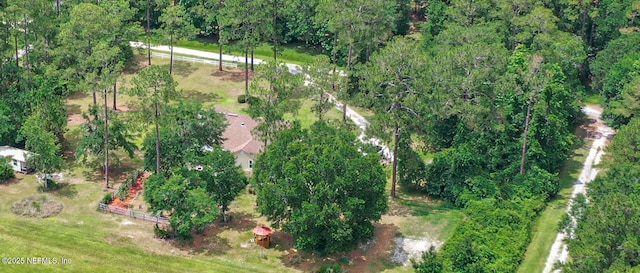 3923 Eden Estate Trl, Middleburg, FL 32068 - aerial view of property's location