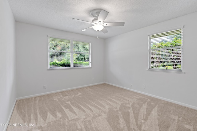 10873 Scott Mill Rd, Jacksonville, FL 32223 - photo 20