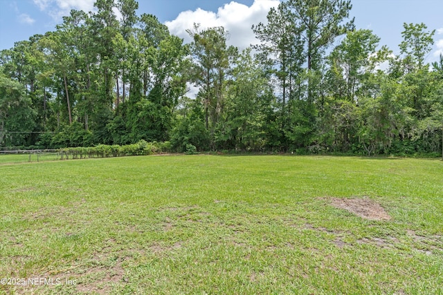 10873 Scott Mill Rd, Jacksonville, FL 32223 - photo 30