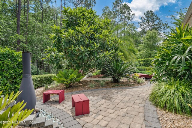 54 Sugar Sand Ln, Saint Johns, FL 32259 - photo 24