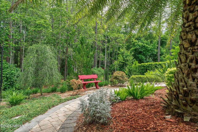 54 Sugar Sand Ln, Saint Johns, FL 32259 - photo 28