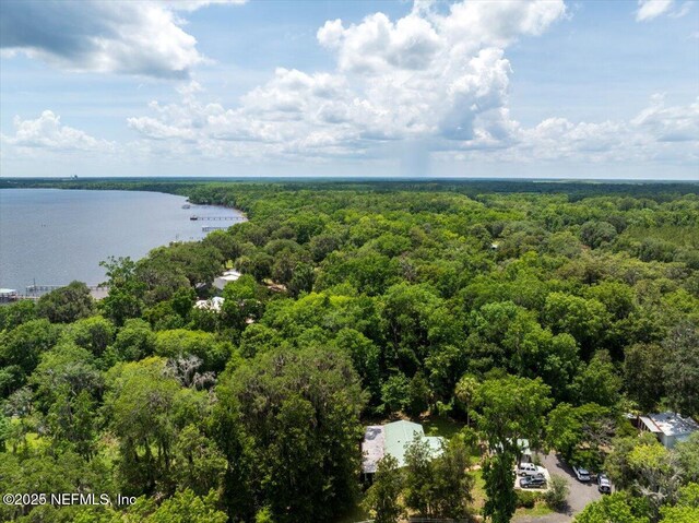 107 Morningstar Ln, Palatka, FL 32177 - photo 42