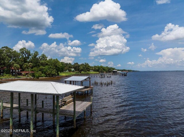 107 Morningstar Ln, Palatka, FL 32177 - photo 47