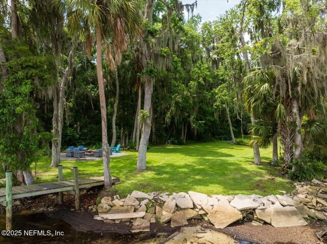 107 Morningstar Ln, Palatka, FL 32177 - photo 49