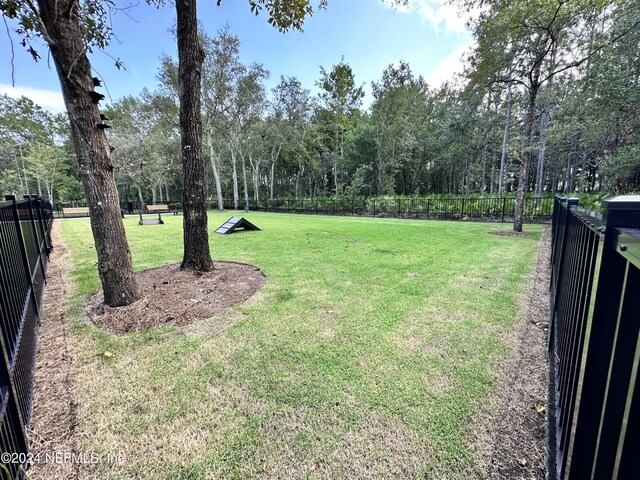 380 Palomar Dr, Saint Johns, FL 32259 - view of yard