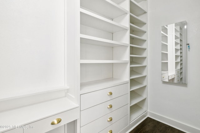 97 Marquesa Cir, Saint Johns, FL 32259 - walk in closet featuring dark wood finished floors