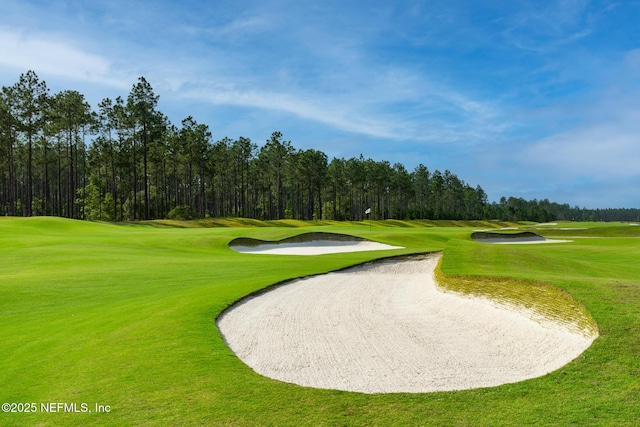 88 Round Robin Run, Saint Johns, FL 32259 - view of property's community with view of golf course and a lawn