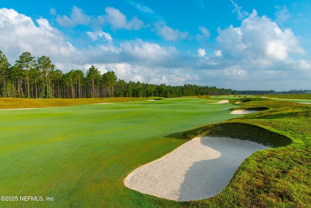 88 Round Robin Run, Saint Johns, FL 32259 - view of home's community with view of golf course and a yard
