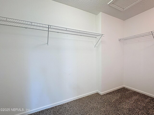65274 Forest Glen Ln, Yulee, FL 32097 - walk in closet featuring carpet flooring
