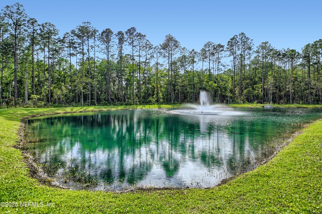 111 Round Robin Run, Saint Johns, FL 32259