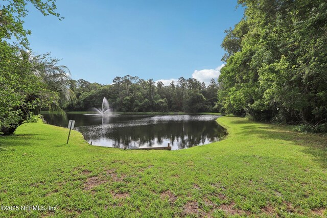 1419 Summit Oaks Dr E, Jacksonville, FL 32221 - photo 49