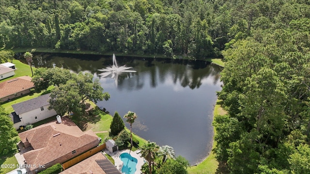 1419 Summit Oaks Dr E, Jacksonville, FL 32221 - photo 63