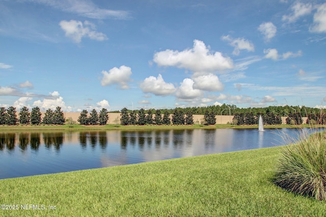 14137 Mahogany Ave, Jacksonville, FL 32258 - photo 33