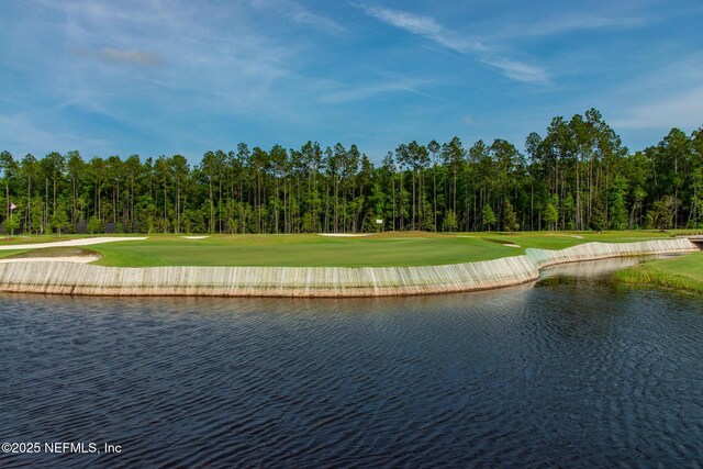 100 Round Robin Run, Saint Johns, FL 32259 - water view