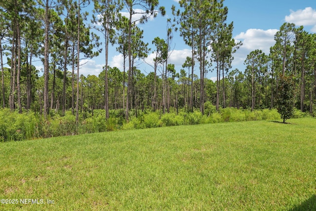 20 Ararat Dr, Palm Coast, FL 32137 - photo 31