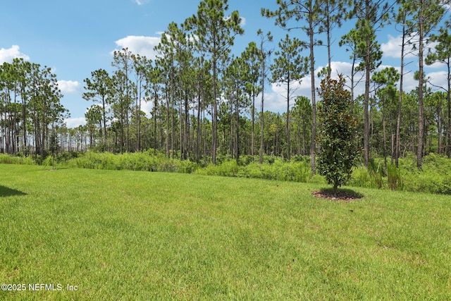 20 Ararat Dr, Palm Coast, FL 32137 - photo 36