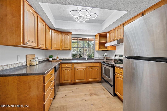 100 Palmera Ct, Ponte Vedra Beach, FL 32082 - kitchen with stainless steel appliances, a tray ceiling, light wood finished floors, under cabinet range hood, and dark countertops