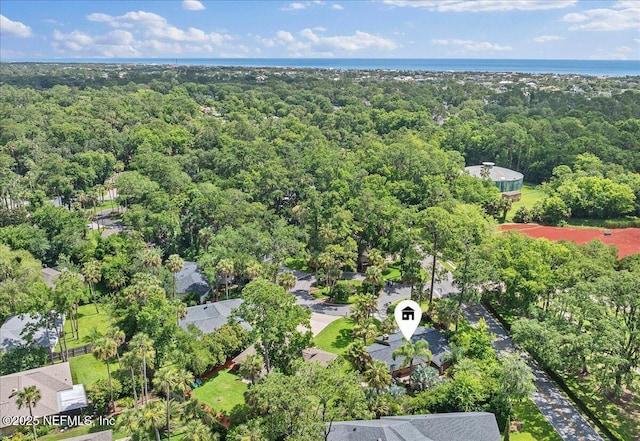 100 Palmera Ct, Ponte Vedra Beach, FL 32082 - bird's eye view of a forest