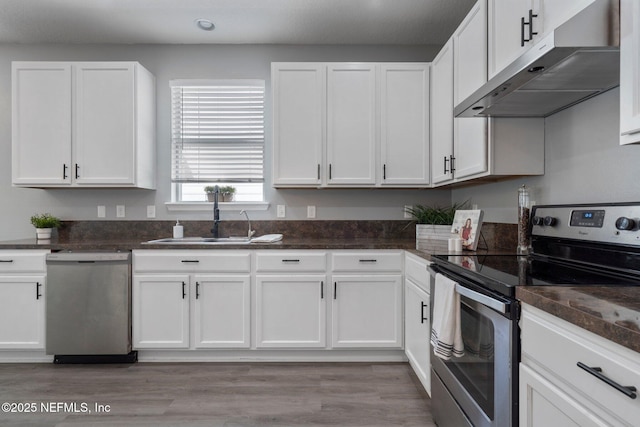 4916 Creek Bluff Ln, Middleburg, FL 32068 - kitchen with appliances with stainless steel finishes, under cabinet range hood, a sink, white cabinetry, and light wood-type flooring