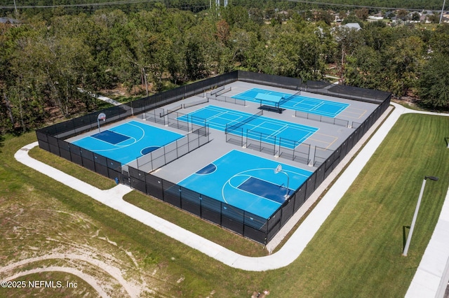 4916 Creek Bluff Ln, Middleburg, FL 32068 - bird's eye view