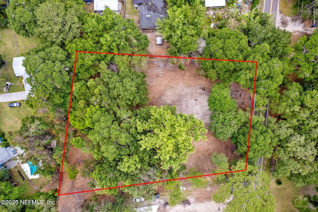 2633 Amelia Rd, Fernandina Beach, FL 32034 - photo 2